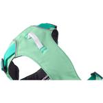 Шлейка для собаки Флаглайн Ruffwear, зеленый - фото 10