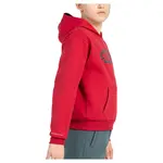 Худи +8000 Aike, красный - фото 3