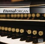 Диск CD Eternal Organ - Various Artists - фото