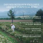 Сыворотка Absolue Lancôme, 1.0 oz Refill - фото 5