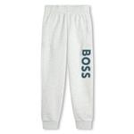 Серые спортивные брюки BOSS, серый - фото