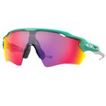 Велосипедные очки Goggles Oakley - фото 9