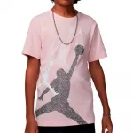 Футболка Jordan Gradient Stacked, розовый - фото