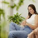 Крем для рук и ногтей «Цитрус» 50 мл Weleda - фото 3