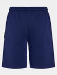 Спортивные шорты regular fit Ceylan UMP24007BE Richmond X, синий - фото 2