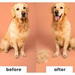 Pet Teezer, щетка для удаления волос для собак мелких пород Pet Teezer, 1 шт. - фото 9