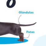 Влажные салфетки СУМСУ с хлоргексидином для собак и кошек 25 полотенец SUMSU - фото 6