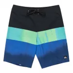 Шорты для плавания Quiksilver Surfsilk Straight Leg 20´´, синий - фото 3
