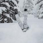 Брюки Burton Cyclic GORE-TEX Burton, Gray Cloud - фото 6