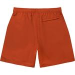 Шорты для плавания Stüssy Water Big Basic Stussy, фиолетовый - фото 15