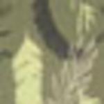 Комбинезон s.Oliver LM, Khaki/Olive - фото 4