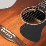 EASTMAN PCH2-GACE-CLA Истман - фото 7