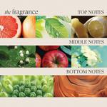 Шампунь Healing Volume L'anza - фото 6