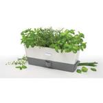 Набор для трав Trio Cole & Mason, белый/серебристый - фото 2