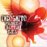 Диск CD In Search Of Better Days - Incognito - фото