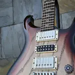 PRS Swamp Ash Special Розовое дерево Джаспер Smokeburst - фото 8