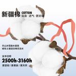 LUOLAI HOME Простыня 180 см (пододеяльник 220x240 см) - фото 5