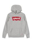 Толстовка Levis Kids Regular fit Batwing, цвет mottled grey - фото