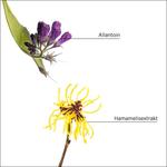 Шампунь System Professional Lipid Code Shampeeling P4, 150 ml - фото 5