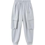 Повседневные брюки GS Asics, серый - фото