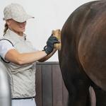 Бейсболка Kingsland Jamilla - фото 3