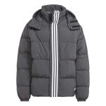 Куртка Adidas Rifta Down Regen Hooded, черный - фото