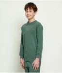 Лонгслив regular fit Aeronautica Militare, зеленый - фото