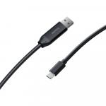 Кабель USB-C Insta360 Connect Extra Long USB-A to USB-C Cable (33') CINSBABL - фото