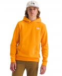 Детская толстовка Evolution Simple Dome Pull-On Hoodie для мальчиков 6-20 лет The North Face, Summit Gold - фото