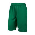 Nike Дышащие шорты dri fit для подростков pine green - фото