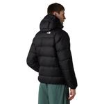 Мужская куртка с капюшоном The North Face Hydrenalite - черная - фото 3