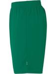 Тканевые шорты Team Shorts Kempa, зеленый - фото 3