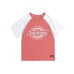 Футболка для детей 3-7 лет Dickies, белый/мокачино - фото 2