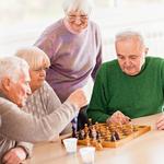 Гинкоро Комп 90 Комп, Eladiet - фото 3