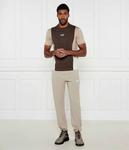 Брюки мужкие Ea7 спортивные на кулиске, бежевый - фото 2