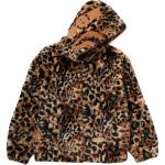 Мужская толстовка FW25 A Bathing Ape, серый - фото 3