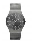 Часы Skagen, цвет Silver - фото