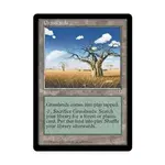 CCG Луга (U), MTG - Mirage - фото