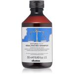 Davines NT восстанавливающий шампунь 250 мл - фото