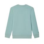 FILA Свитшот мужской Aquaman Green - фото 3