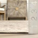 Ковер nuLOOM, 183 x 275 см, BIRV06, Brielle Grey - фото 2