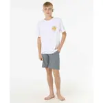 Шорты Rip Curl Boardwalk Phase, серый - фото 5