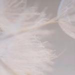 Комплект панельных штор Novel, серо-коричневый - фото 2