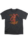 Футболка DC Comics Flash с принтом вихря для детей Gildan, Charcoal - фото
