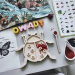 Сенсорный ящик Biedronka / Sensobox Inna marka - фото 2