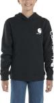 Толстовка Carhartt для мальчиков, Caviar Black - фото