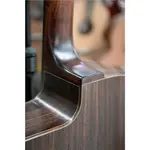 EASTMAN DM-1 Классический цыганский джаз - фото 7