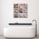 Фрески Feeby Muscheln Natur Collage, бежевый - фото 2