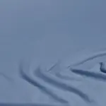 Простыня на резинке Jersey HG Hahn H.G. Hahn - фото 3