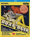 Диск Blu-ray The Road To Ruin [1928] - фото